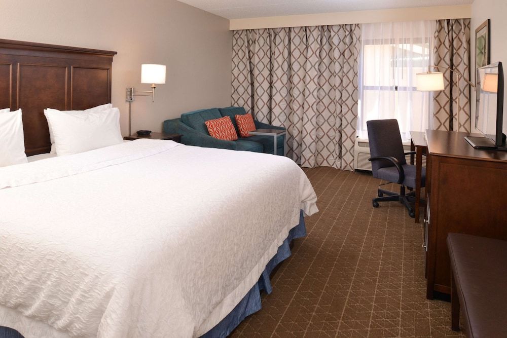 Room, 1 King Bed, Sofa Bed