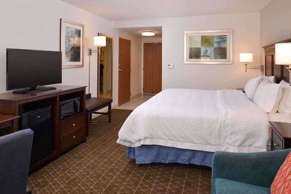 Room, 1 King Bed, Accessible Shower