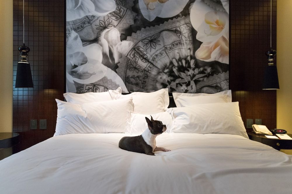 undefined Country Club Lima Hotel - The Leading Hotels of the World 5