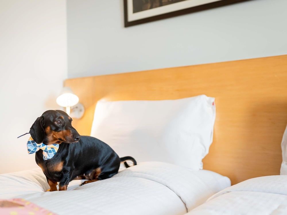 Standard Twin Room, 2 Twin Beds