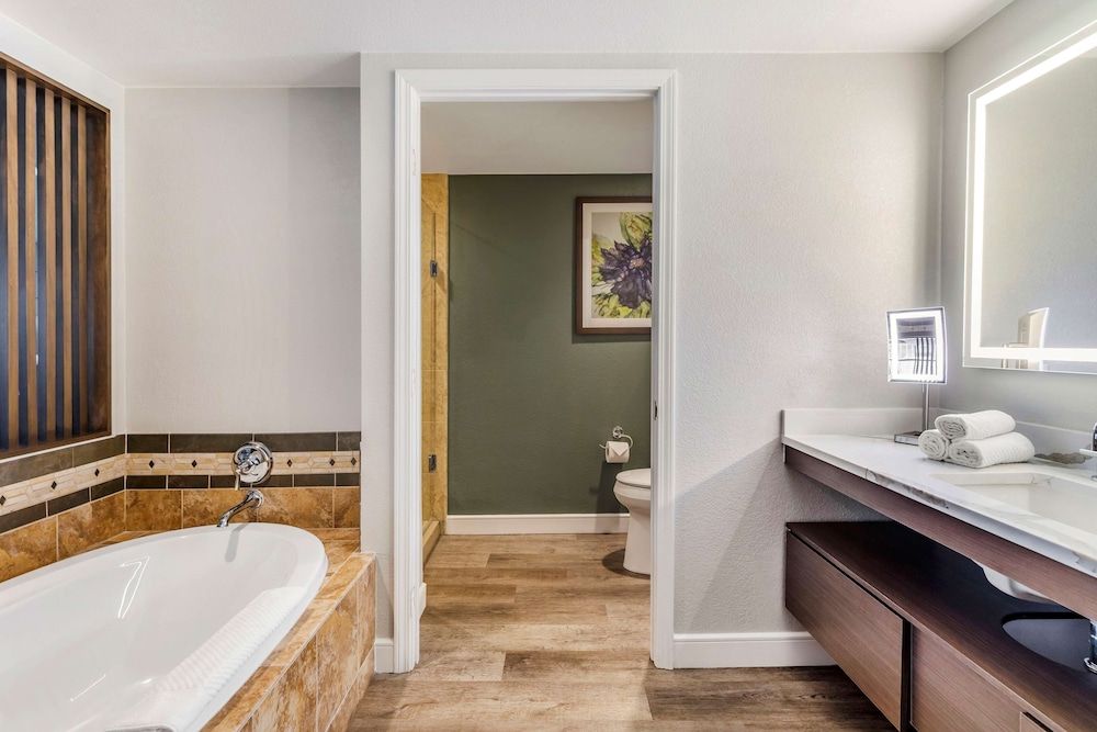 Hilton Grand Vacations Club Flamingo Las Vegas Studio, 1 King Bed with Sofa bed, Kitchenette 4