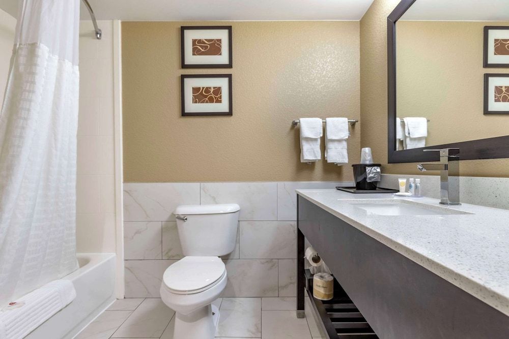 Suite, 1 King Bed with Sofa bed, Non Smoking (2 Person Sofa Bed)