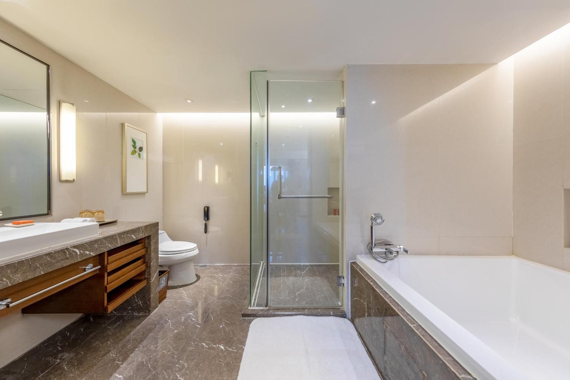 Junior King Suite with City View