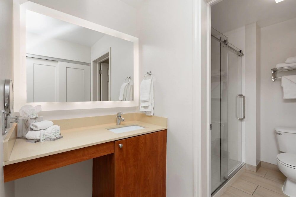 Suite, 1 King Bed, Non Smoking (Walk-in Shower)