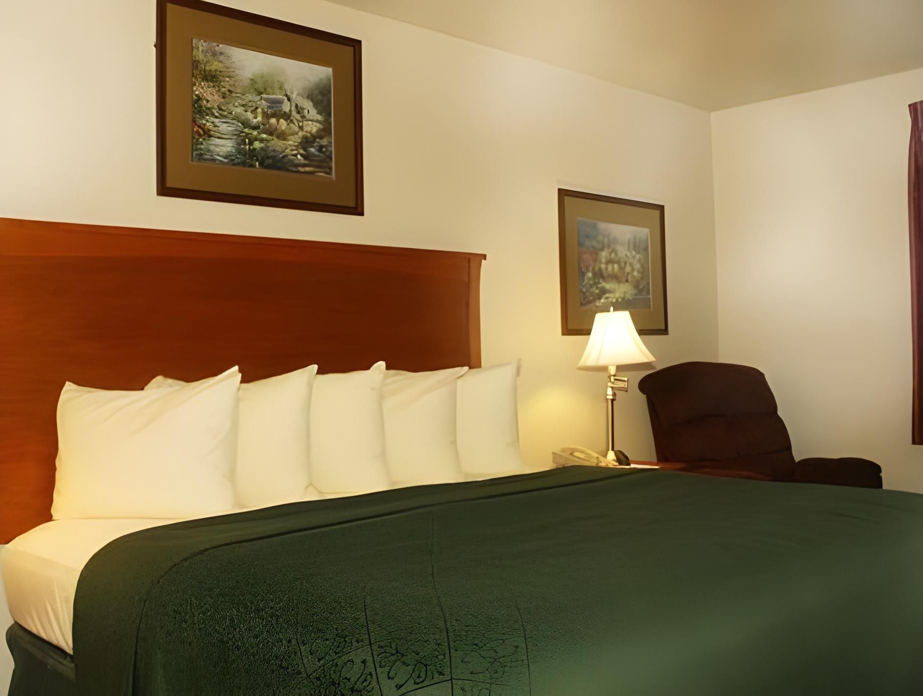 1 Bedroom Suite