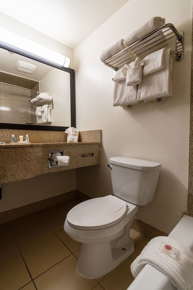 Comfort Inn Near Grand Canyon Standard Room, 2 Queen Beds 7