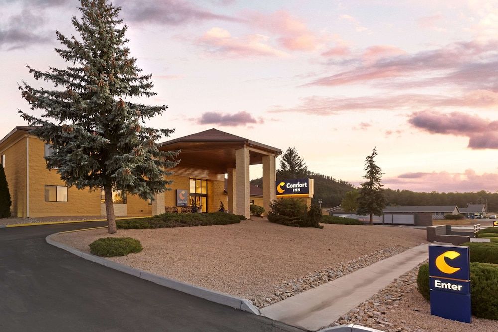 undefined Comfort Inn Near Grand Canyon 10