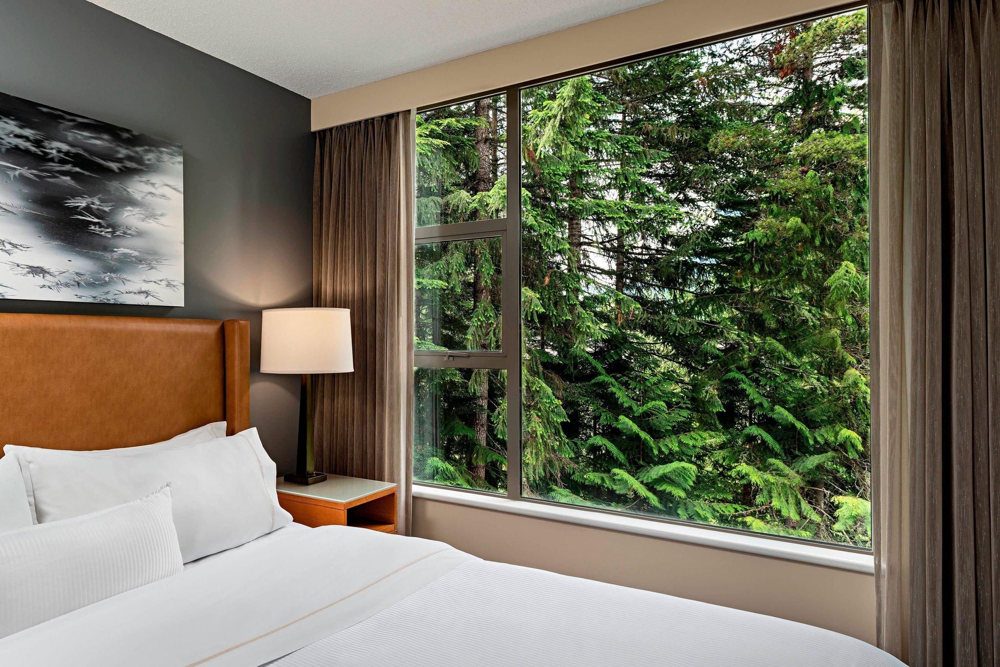 1 Bedroom Suite, 1 Queen, Sofa bed, Fireplace