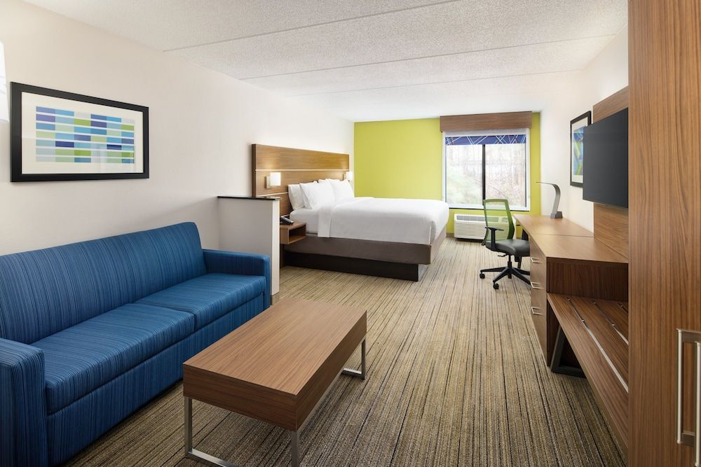 Suite, 1 King Bed with Sofa bed