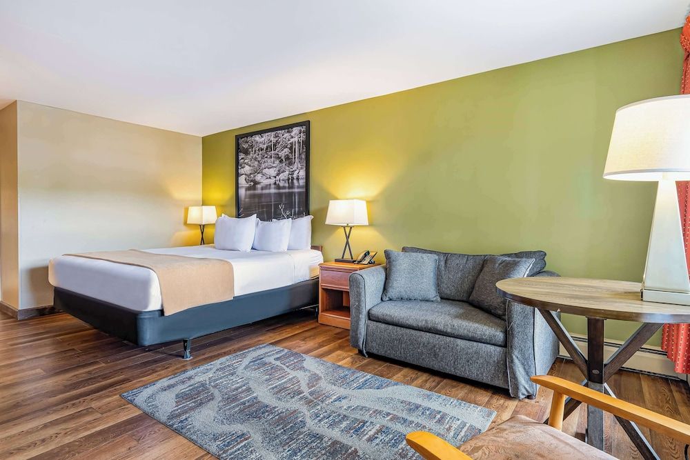 Room, 1 King Bed, Non Smoking, Refrigerator