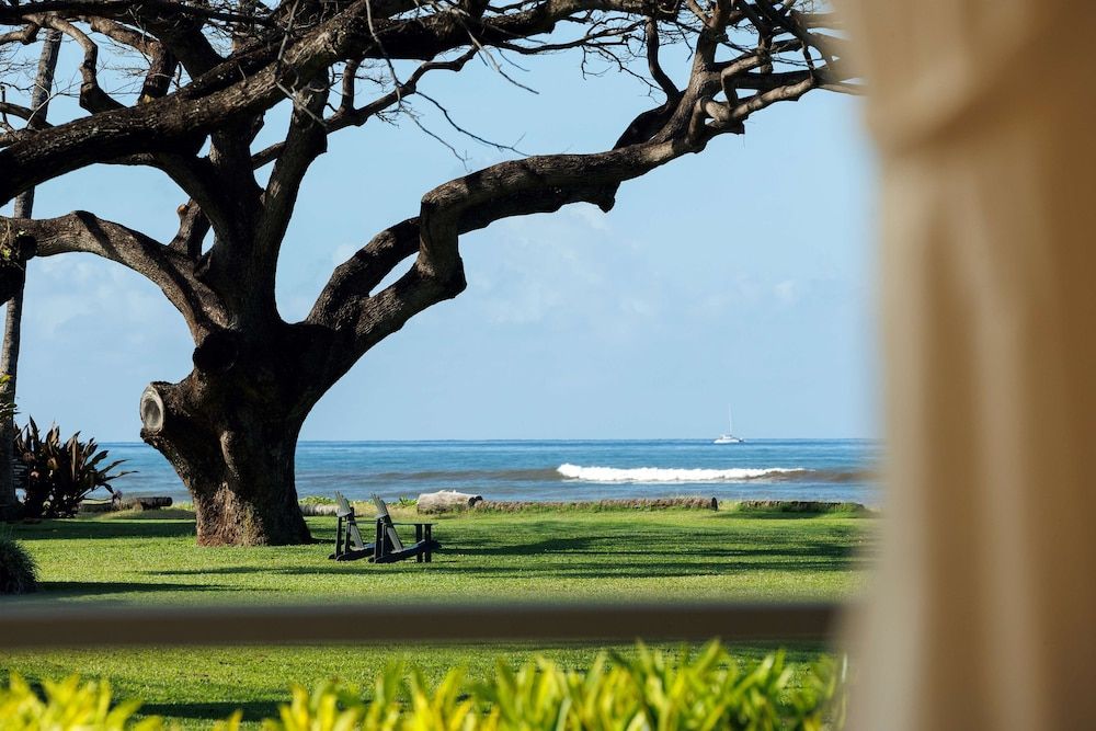 Coast Cottage, 3 Bedroom, Ocean View (King + Queen or King + Single)