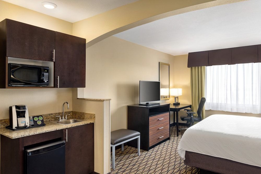 Suite, 1 King Bed with Sofa bed