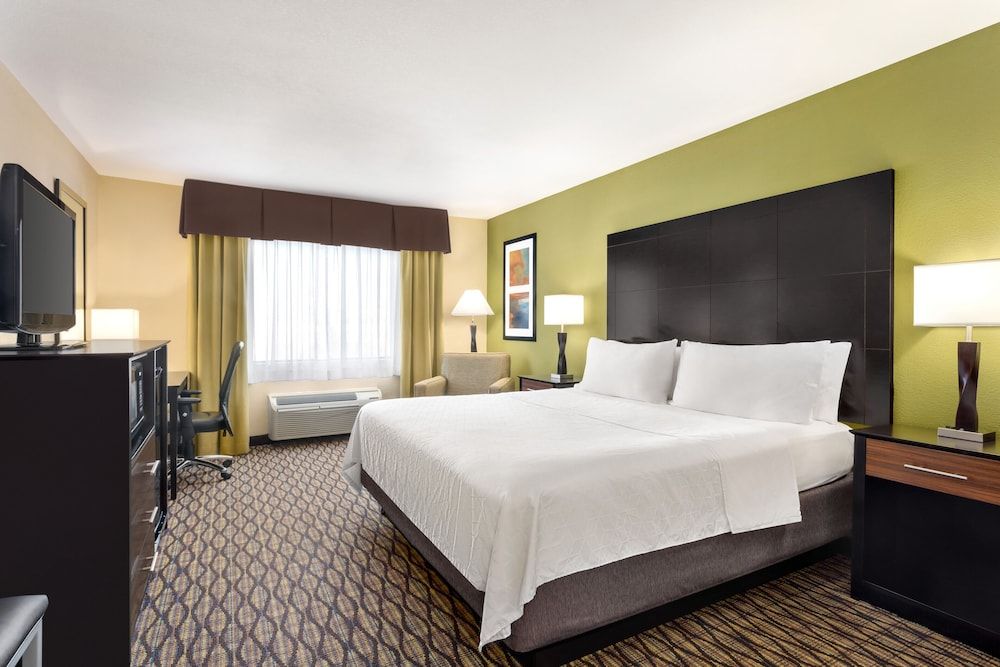 Suite, 1 King Bed with Sofa bed