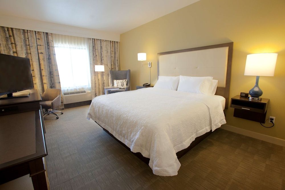Suite, 1 King Bed, Accessible