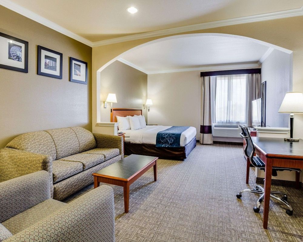 Business Suite, 1 King Bed with Sofa bed, Accessible, Non Smoking