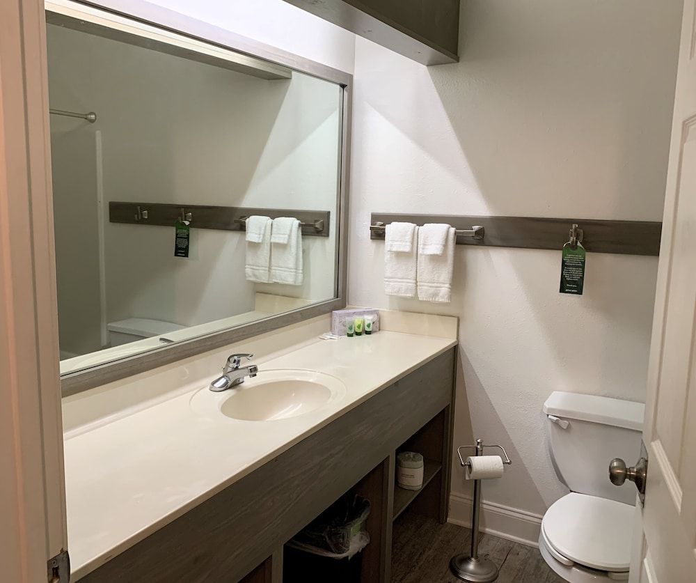 Hotel Pensacola Deluxe Room, 1 King Bed 11