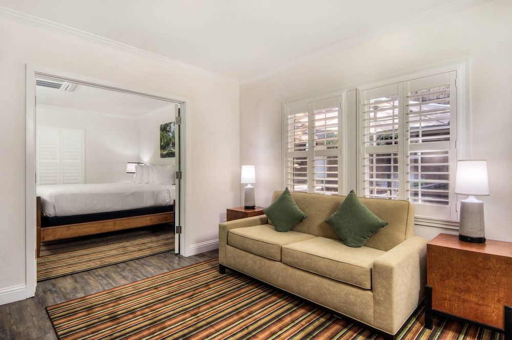 Suite, 1 King Bed with Sofa bed, Non Smoking (Efficiency, Cottage)