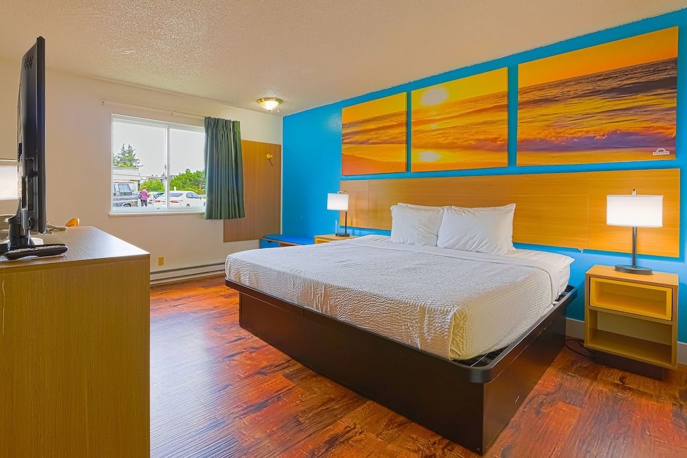 Room, 1 King Bed