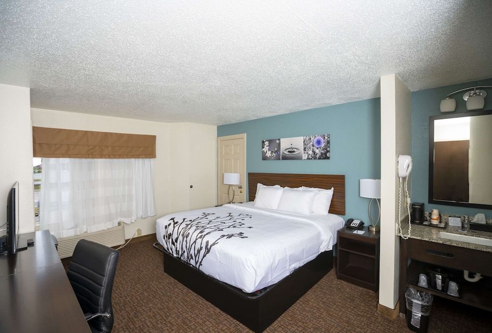 Standard Room, 1 King Bed, Non Smoking