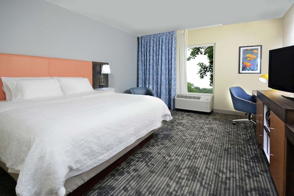 Room, 1 King Bed, Non Smoking