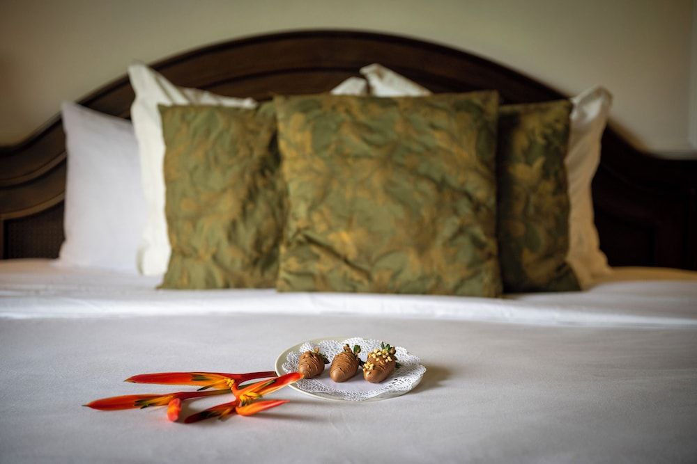 Hotel Casa Turire Master Suite Heliconias 5