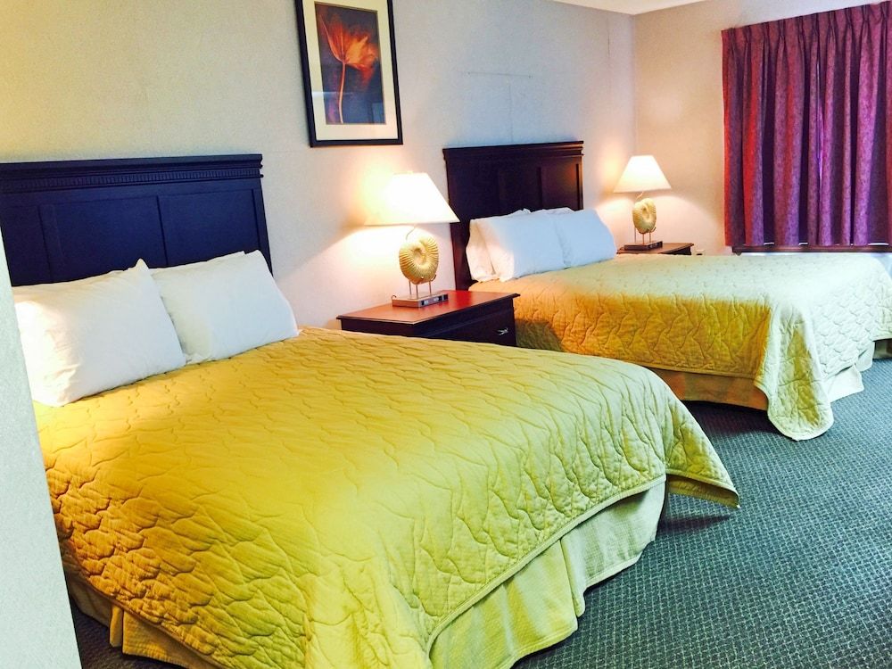 Hotel Del Sol Suite, 1 King Bed, Non Smoking 3