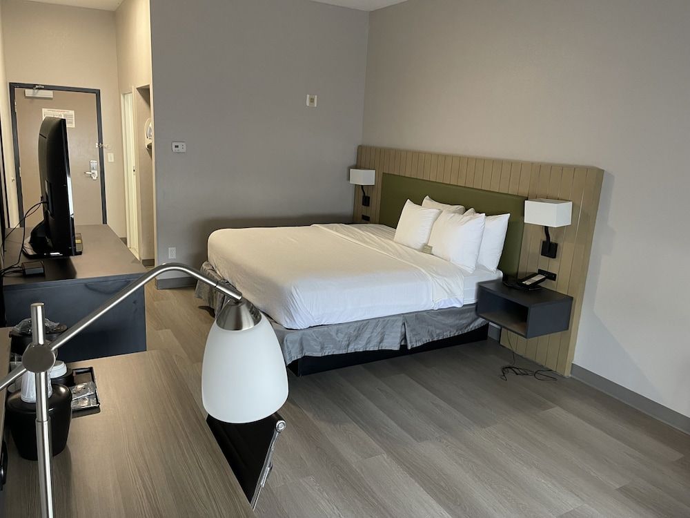 Room, 1 King Bed, Accessible, Non Smoking