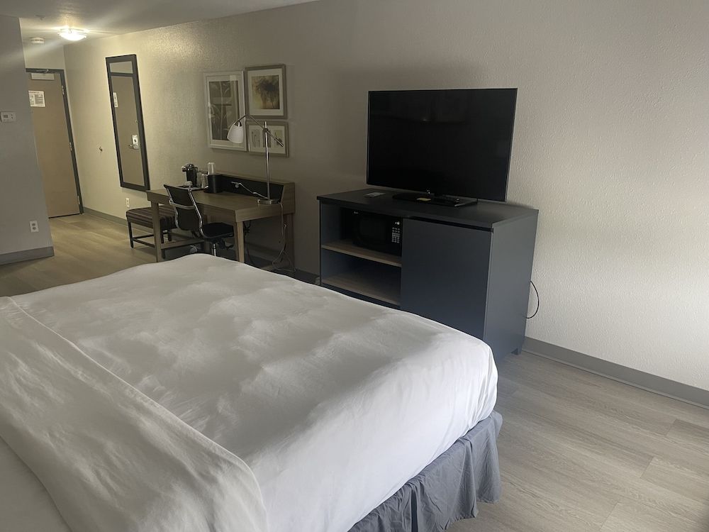 Suite, 1 Bedroom, Non Smoking
