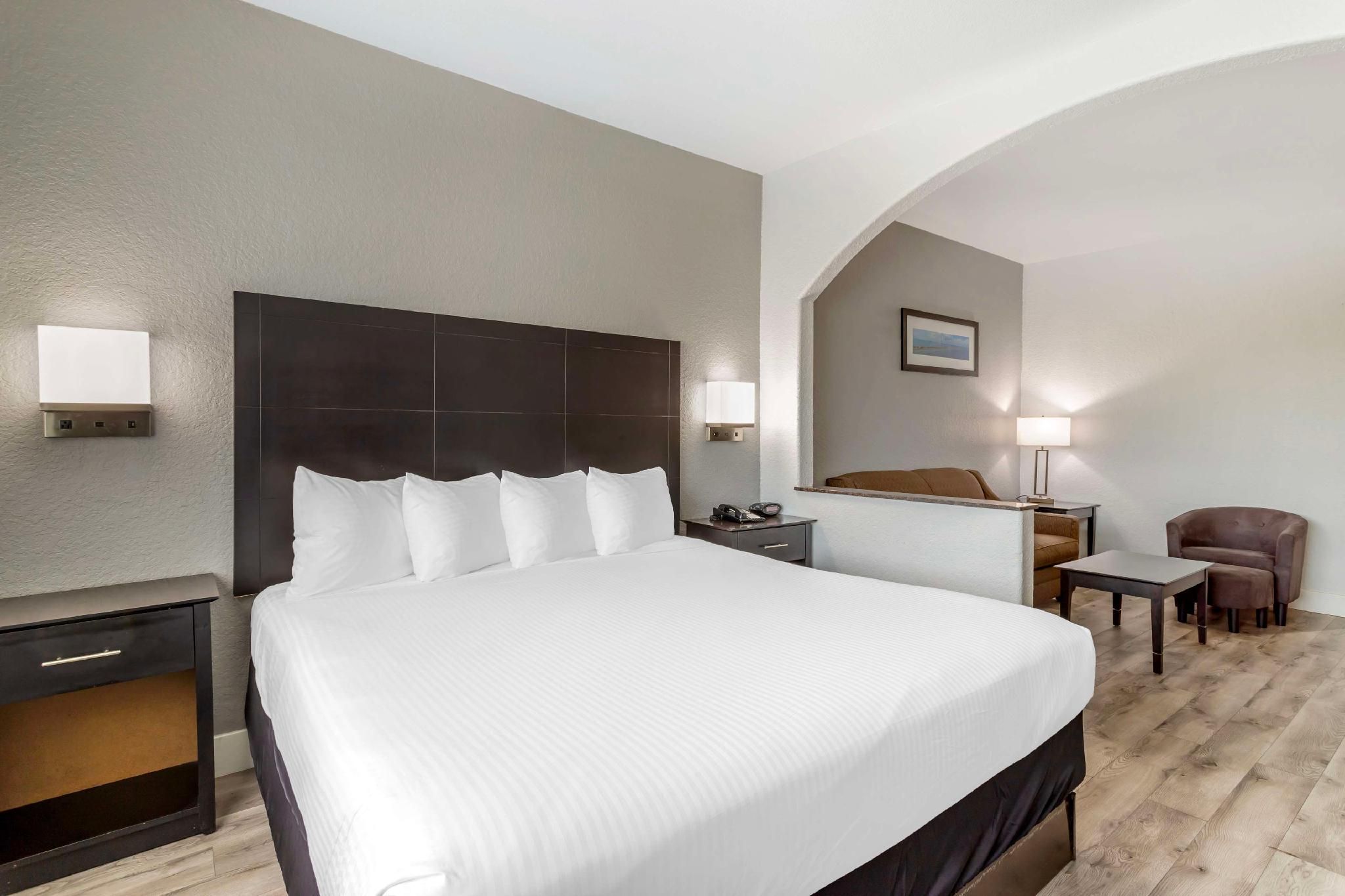 Suite - 1 King Bed, Nonsmoking, Sofabed