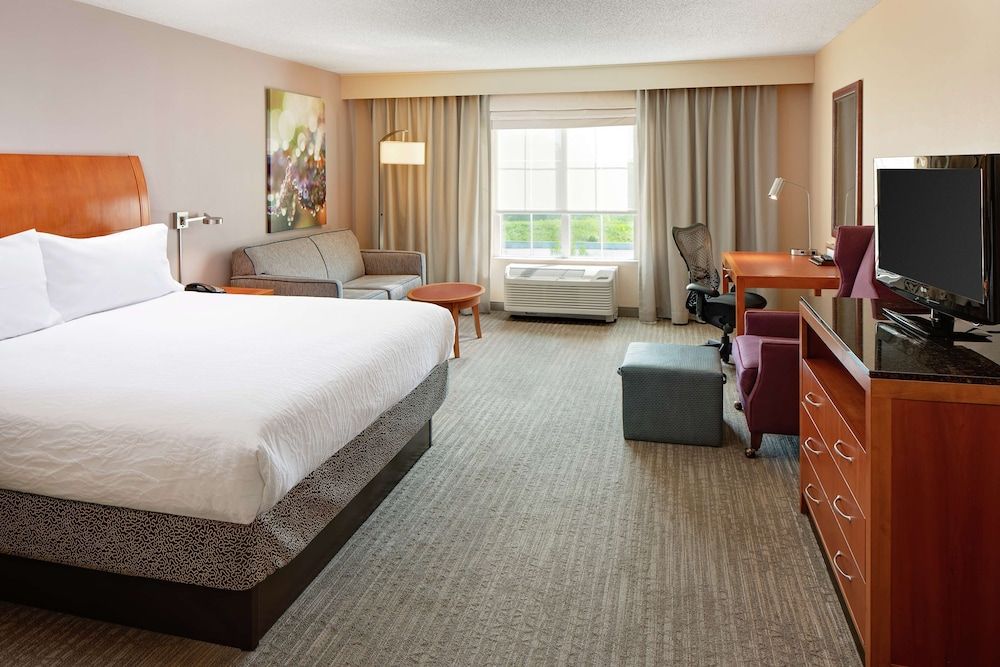 Room, 1 King Bed with Sofa bed