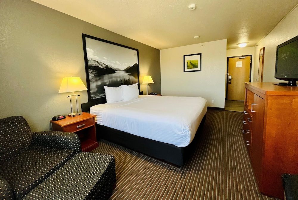 Standard Room, 1 King Bed, Non Smoking