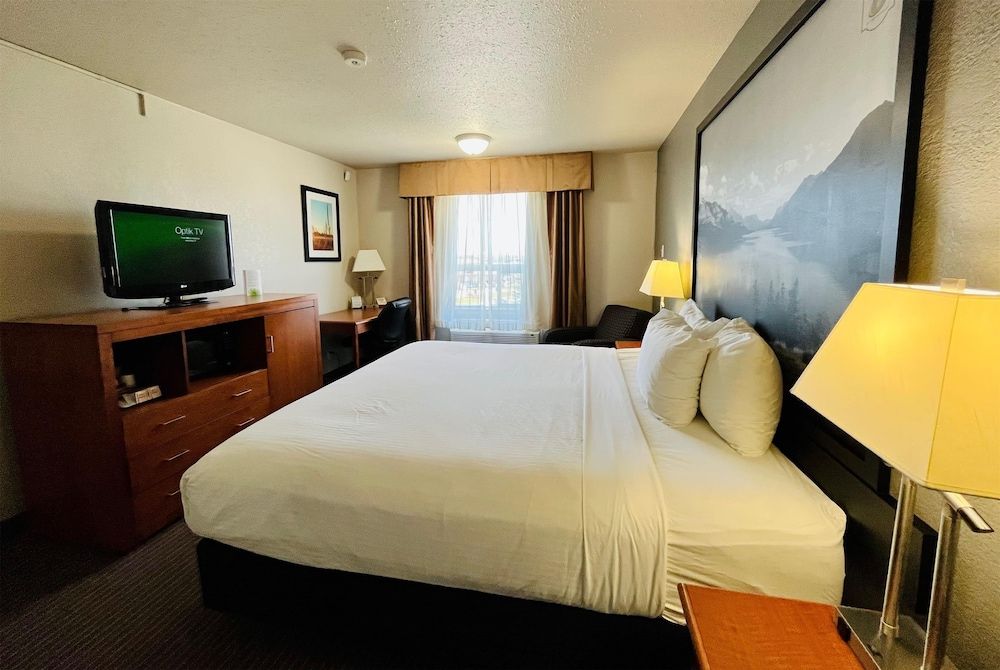 Room, 1 King Bed, Accessible, Non Smoking (Mobility/Hearing Accessible)