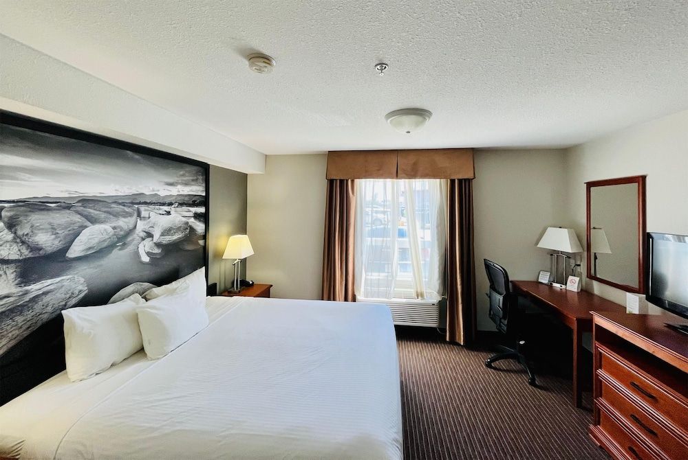 Studio, 1 King Bed, Non Smoking, Kitchen