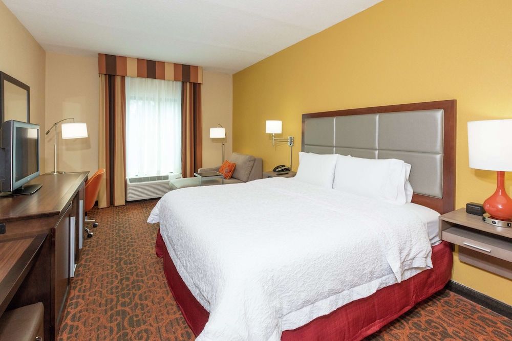 Room, 1 King Bed, Accessible