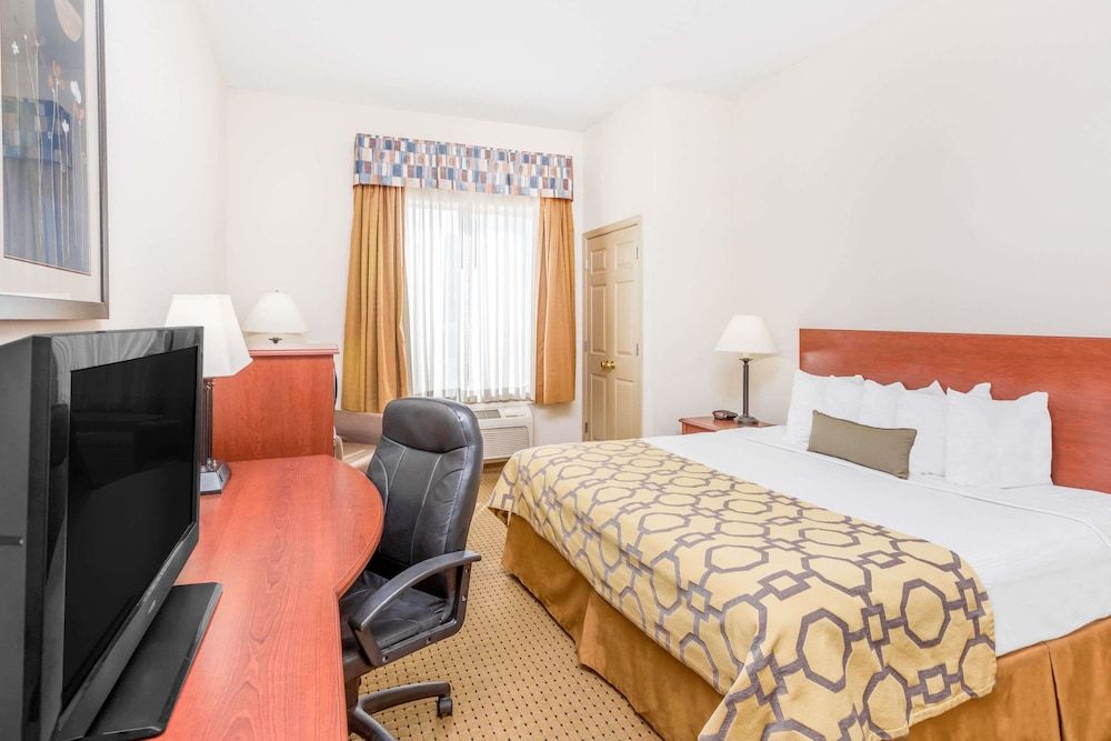 Room, 1 King Bed, Non Smoking