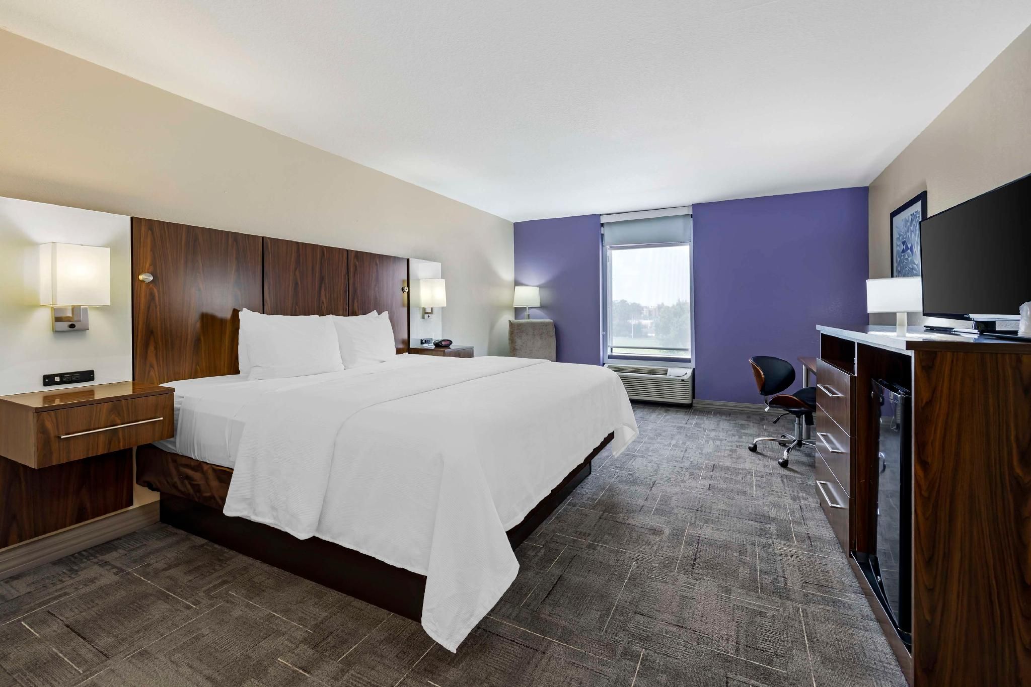 1 King Bed, Nonsmoking, Shower Only