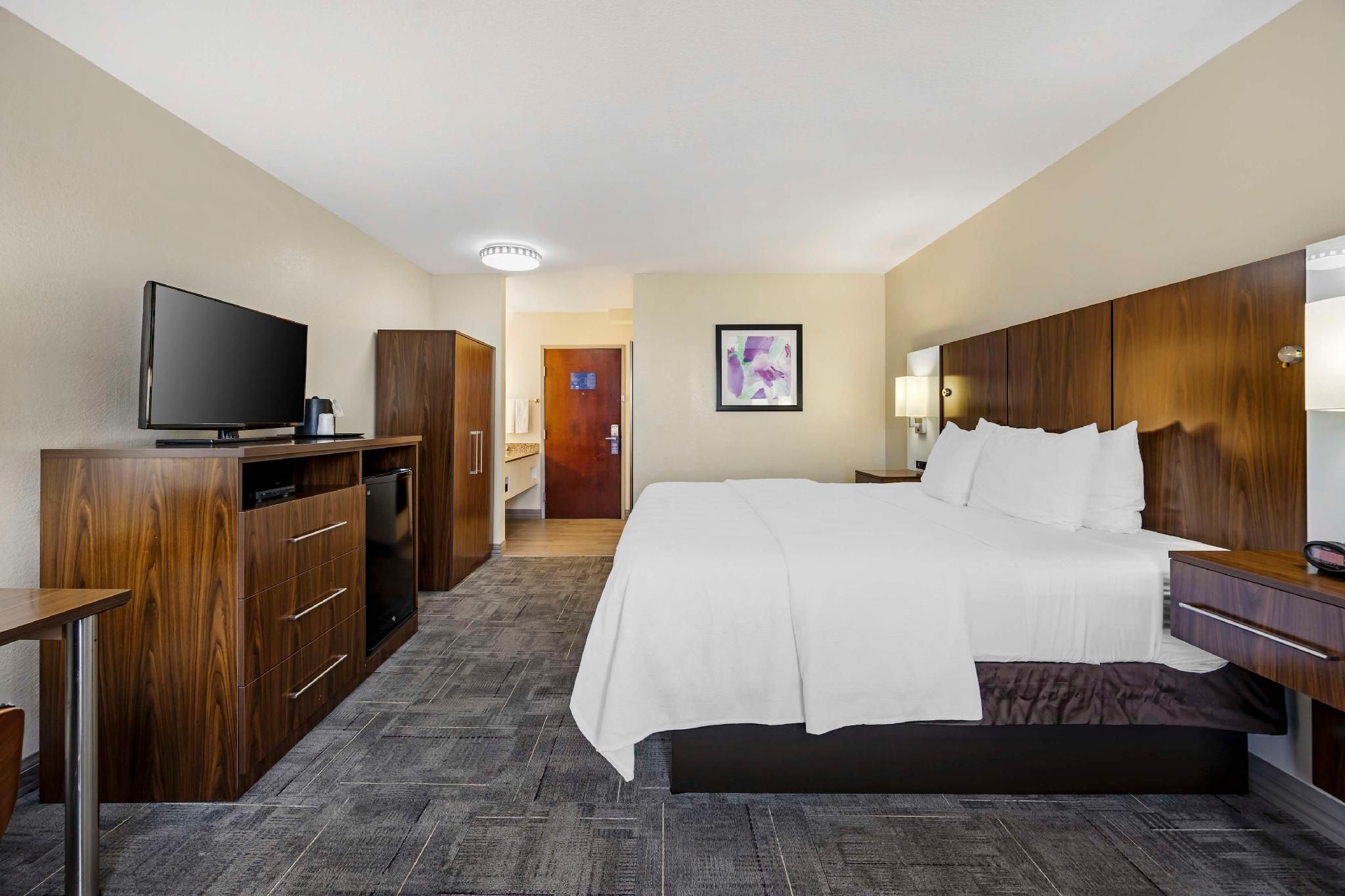 1 King Bed, Nonsmoking, Shower Only