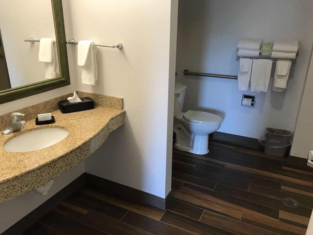 Suite, King, Accessible