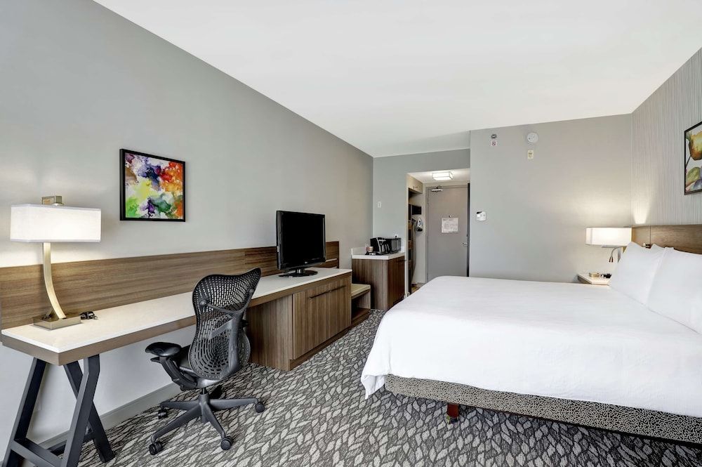 One king bed evolution room
