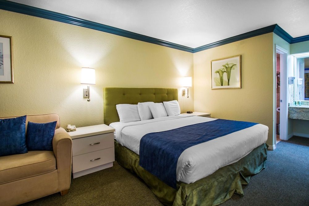 Standard Room, 1 King Bed with Sofa bed, Non Smoking (No Pets Allowed)