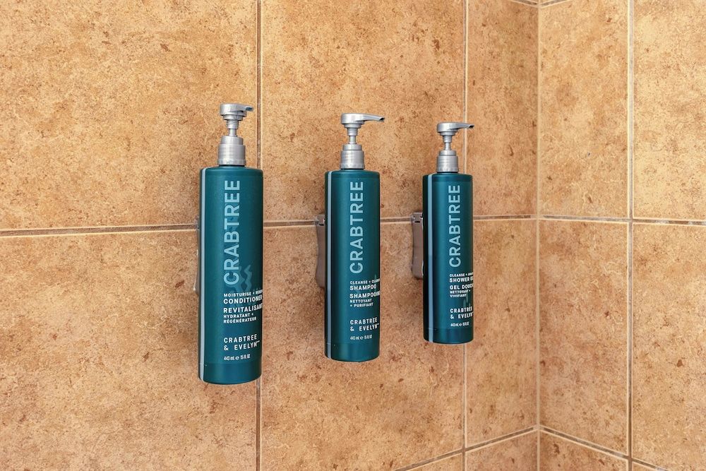 Hilton Vacation Club Cedar Breaks Brian Head 1 Bedroom 1 King Suite with Sofabed 2