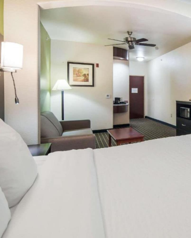 Suite, 1 King Bed, Non Smoking