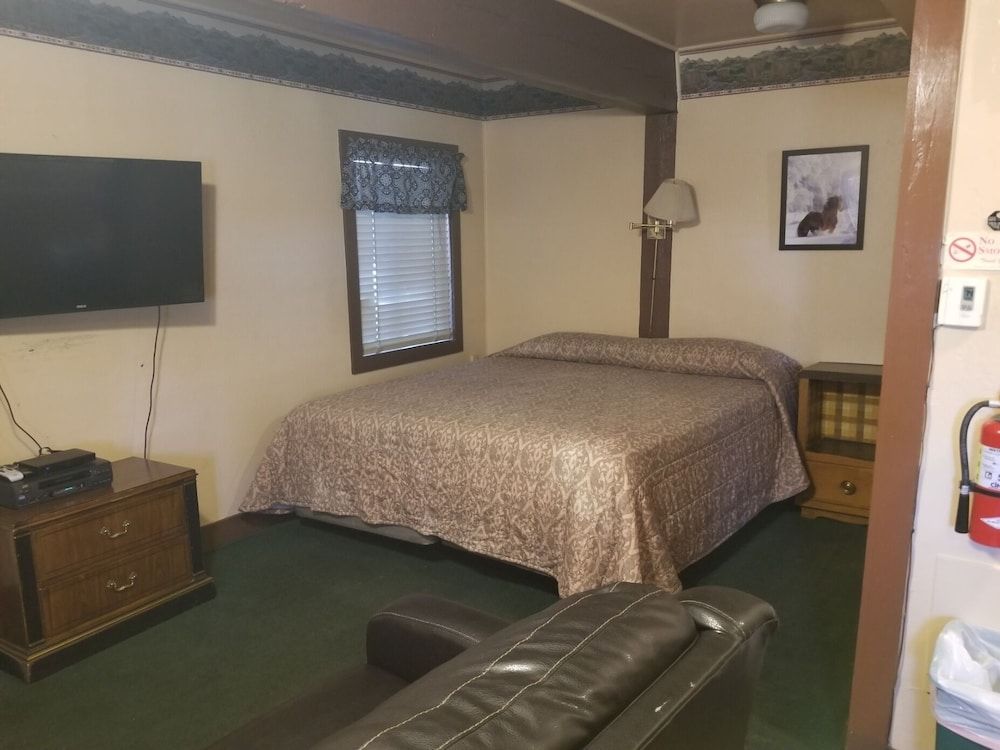 Basic Studio Suite, 1 Queen Bed with Sofa bed, Fireplace