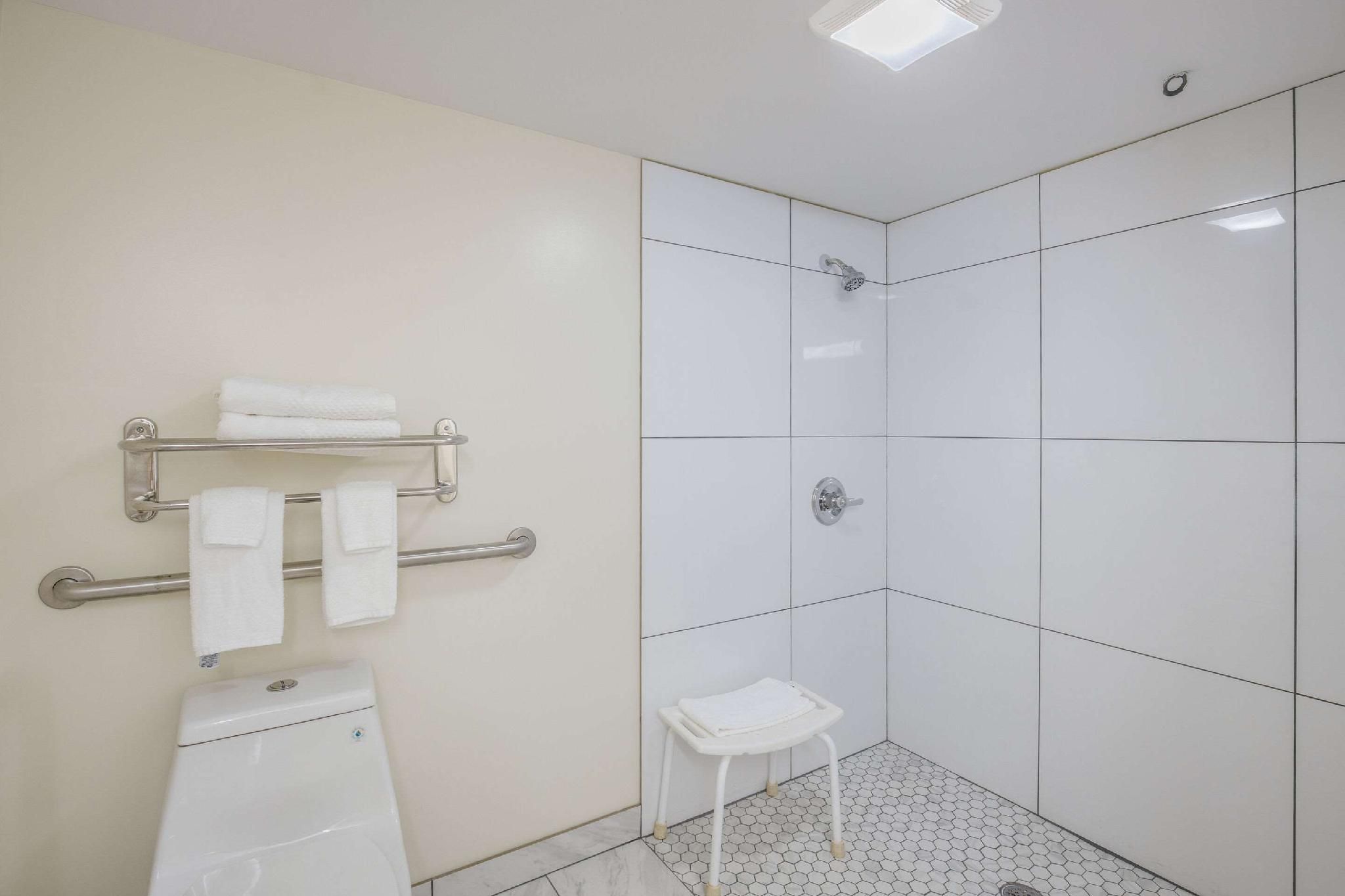 1 Queen Bed Non-smoking Accessible