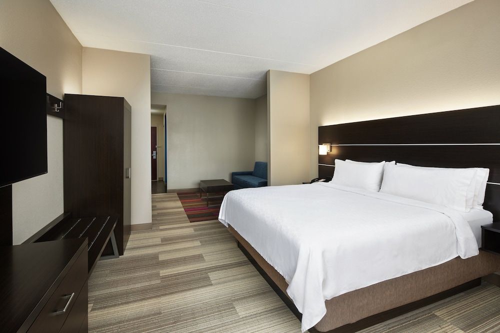Suite, 1 King Bed with Sofa bed