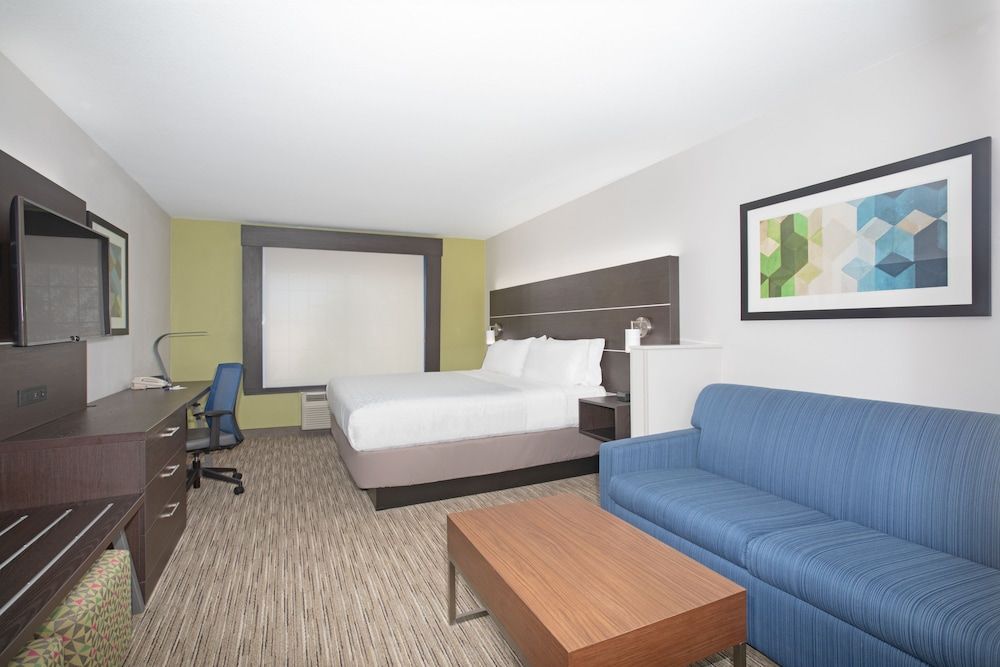 Suite, 1 King Bed with Sofa bed
