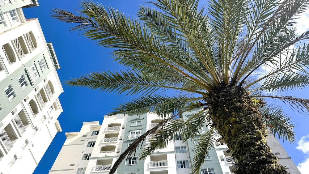 undefined The Point Hotel & Suites 7