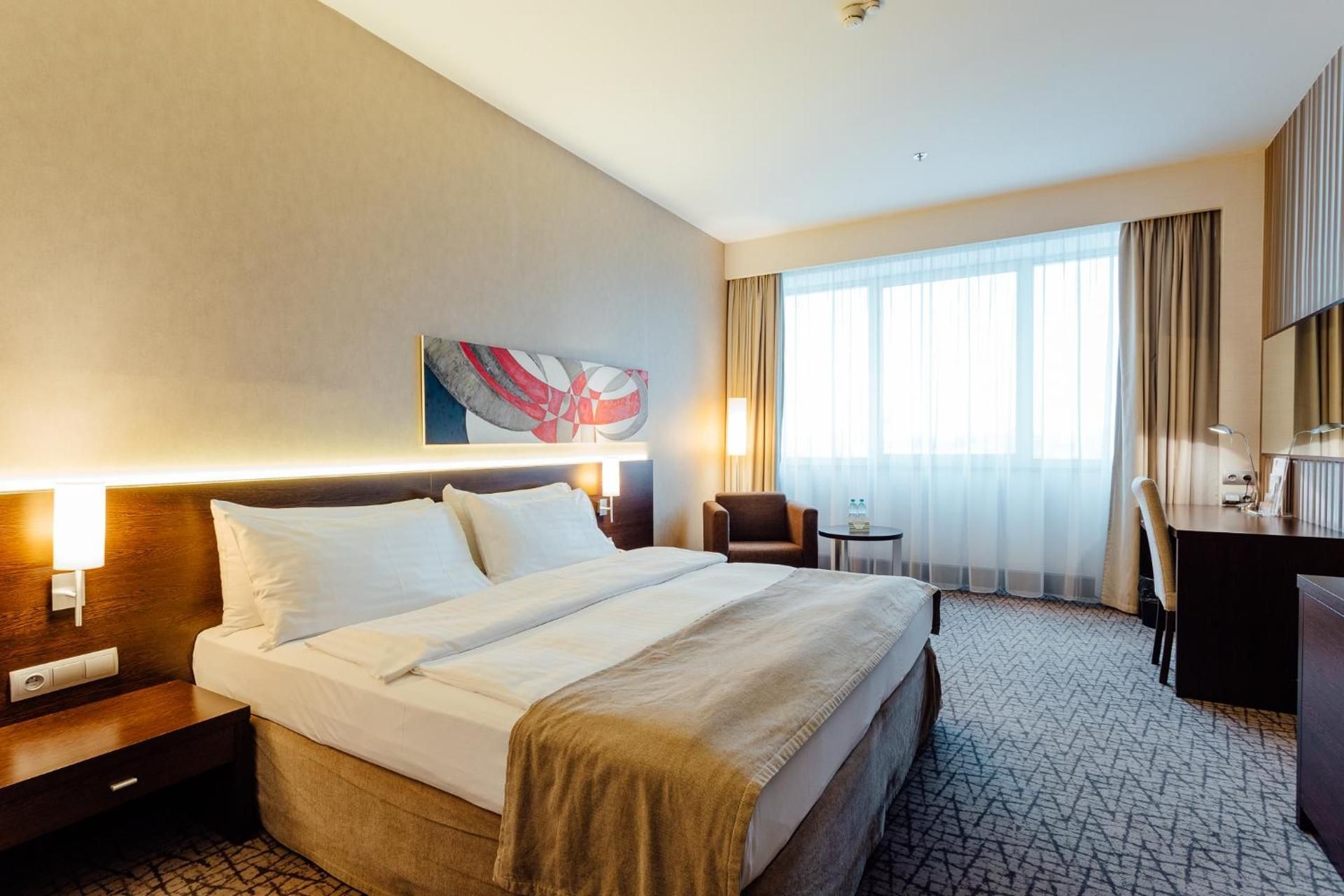 1 King Bed Standard Mountain View