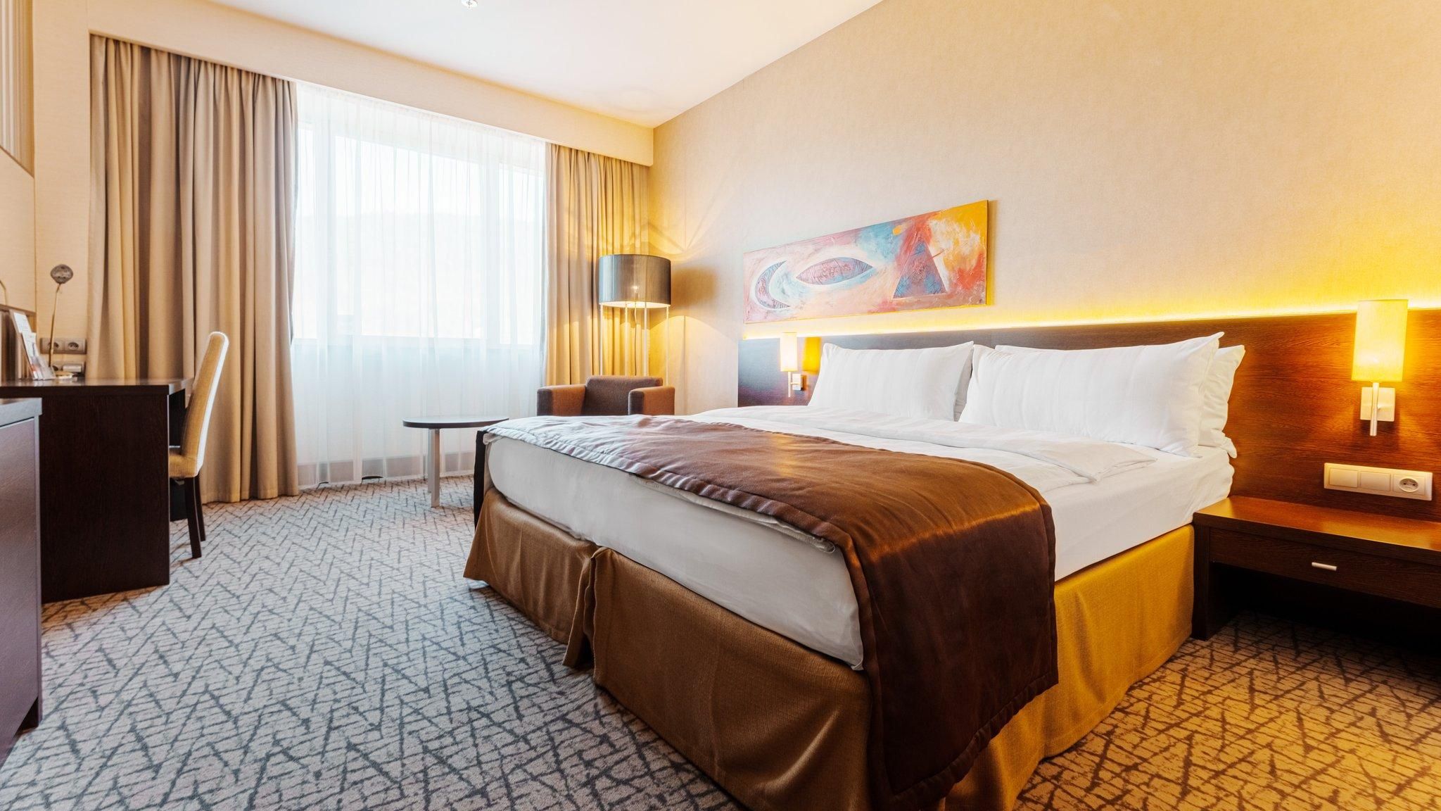 1 King Bed Standard Mountain View