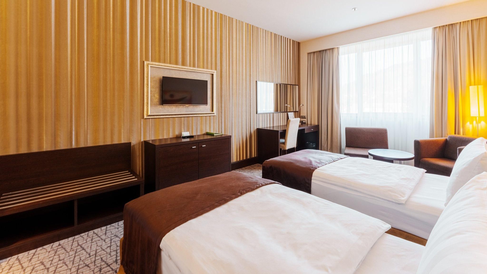 2 Single Beds Standard Mountain View